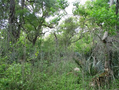 000 County Road 858, Brazoria, TX 77422 - photo 4