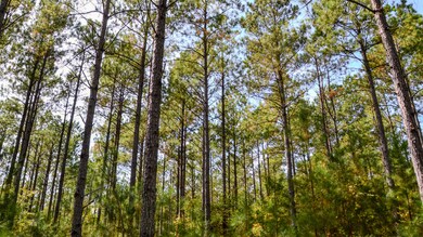 Rocky Branch Land for Sale in South Caro
