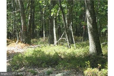 0 Deep Spring Rd unit 1003582428, Dorcas, WV 26847 - photo 3