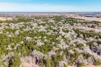 TBD9137 County Road 113, Whitesboro, TX 76273 - photo 7