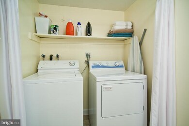 4432 36th St S, Arlington, VA 22206 - photo 6