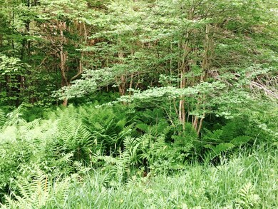 0 Safford Rd unit 4241442, Hartford, VT 05059 - photo 2