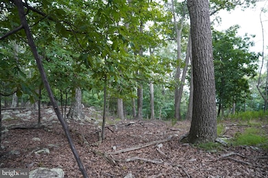 Lot 7 Justin Ln, Great Cacapon, WV 25422 - photo 4