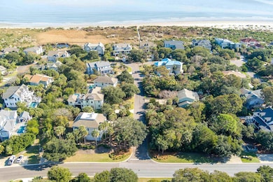 3621 Loggerhead