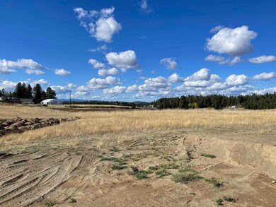 6019 E Fox Trot Ln, Colbert, WA 99005 - photo 2