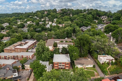 1305 31st St S unit 202, Birmingham, AL 35205 - photo 2