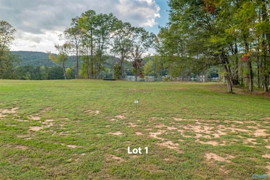 2790 Lake Forest Ct, Southside, AL 35907 - photo 6