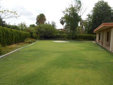 Large backyard