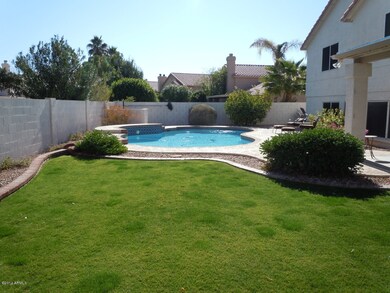 Backyard 1