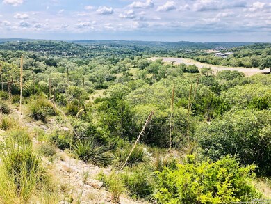 23215 Linwood Ridge, San Antonio, TX 78255 - photo 5