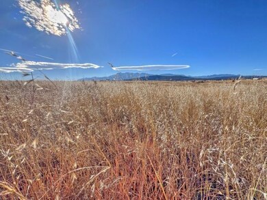 TBD-L309 Morgan, Colorado City, CO 81019 - photo 5