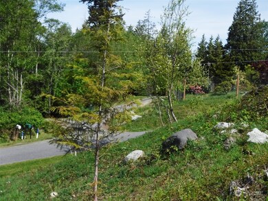 0 Taft Dr, Lummi Island, WA 98262 - photo 4