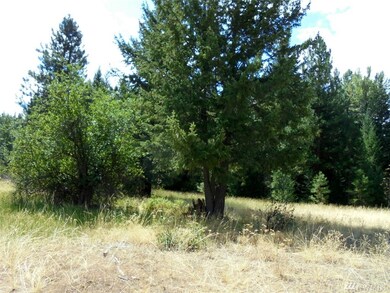 1045 Twisp River Rd, Twisp, WA 98856 - photo 7