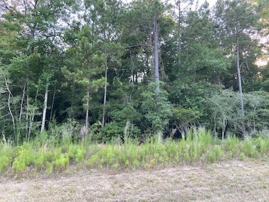 228 Windmill Rd, New Waverly, TX 77358 - photo 6