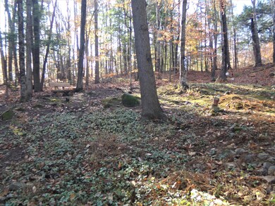 116_7293 (2) (1)