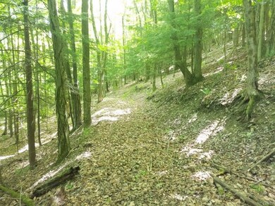 00 German Hill Rd Rd, Greenwood, NY 14839 - photo 3