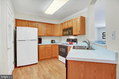 6502 Ridenour Way E unit 2A, Sykesville, MD 21784 - photo 7