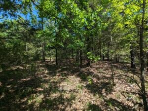 TBD 7A Spring Creek Trail, Cecil, AR 72930 - photo 6
