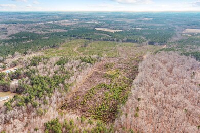 0000 Lewis Rd, Oxford, NC 27565 - photo 3