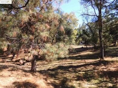 7 62A Ferretti Rd, Groveland, CA 95321 - photo 7