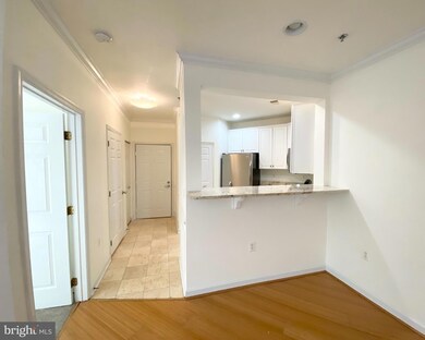 1321 N Adams Ct unit 203, Arlington, VA 22201 - photo 7