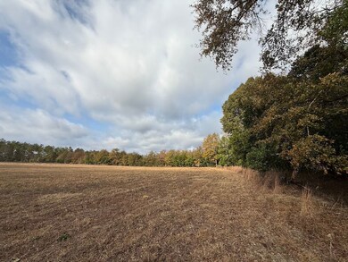 Sc Hwy 39 unit LotWP002, Williston, SC 29853 - photo 4