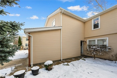 8220 Lancaster Dr unit 4, Mentor, OH 44060 - photo 2