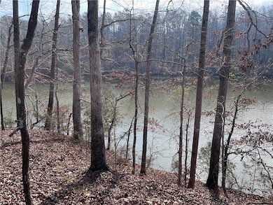 0 Lakeview Dr unit 20271609, Fair Play, SC 29643 - photo 6