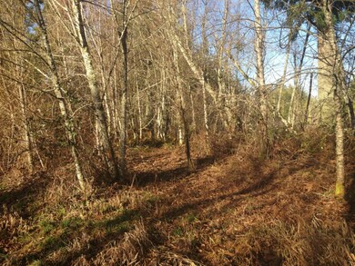 0 Lybecker Ln SE unit 732811, Rainier, WA 98576 - photo 5