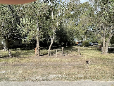 0000 Caribe Ln, Houston, TX 77047 - photo 6