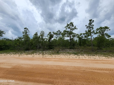 0 Military Ct unit Lot 4 742936, Alford, FL 32420 - photo 6