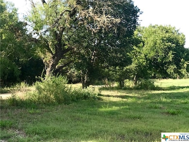420 Blanco River Ranch Rd, San Marcos, TX 78666 - photo 2