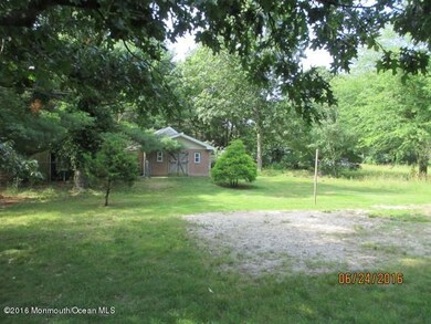 backyard (3)