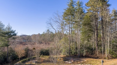 59 Bottlebrush Dr, Cashiers, NC 28717 - photo 3