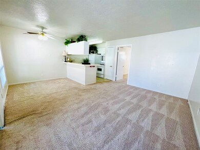2408 Elmen St unit 6, Houston, TX 77019 - photo 3