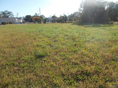 713 N Broad St, Edenton, NC 27932 - photo 4