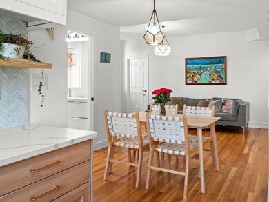 220 Washington St unit 6, Brookline, MA 02445 - photo 4