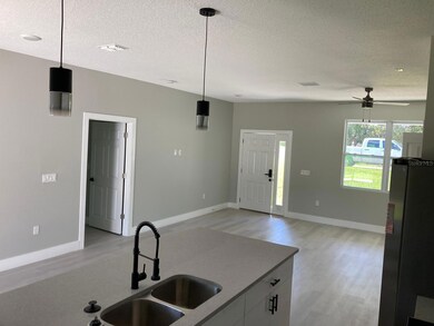 179 Fisher Way Trail, Ocklawaha, FL 32179 - photo 5