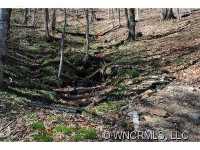 Mountain Stream Borders Lot
