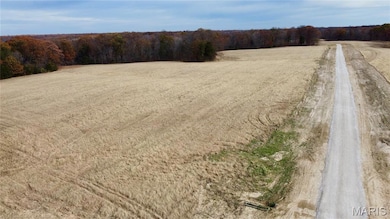 Tract 4 Polston Ln, Hickory Grove Township, MO 63357 - photo 2