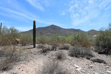 IMG_0391