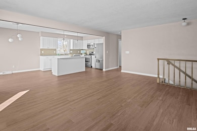 5302 16th Ave, Moline, IL 61265 - photo 2