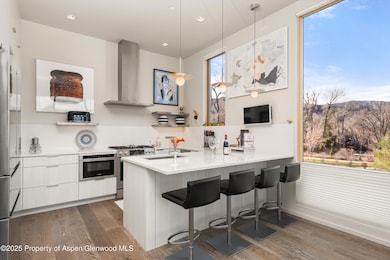 103 Willits Way unit 204, Basalt, CO 81621 - photo 7