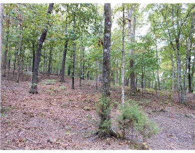 13015 Aristocrat Rd, West Fork, AR 72774 - photo 6