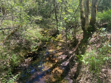 Creek 1
