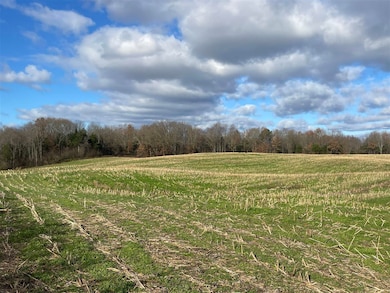 Lot 1 Bethel Ln, Bowling Green, KY 42101 - photo 3