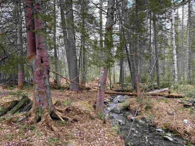 00 Breezy Hill Rd, Lisbon, NH 03585 - photo 4