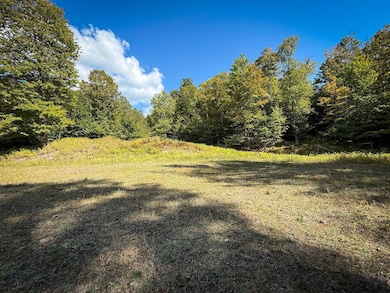 0 Tamblin Ridge Trl Lot unit WP001, Constantia, NY 13028 - photo 7