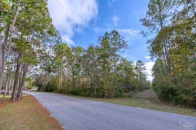 00 Mullet Dr, Freeport, FL 32439 - photo 4