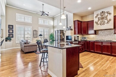 4807 S Anaheim Ct, Aurora, CO 80015 - photo 7